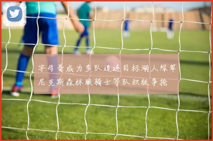 字母哥成为多队追逐目标湖人绿军尼克斯森林狼骑士等队积极争抢